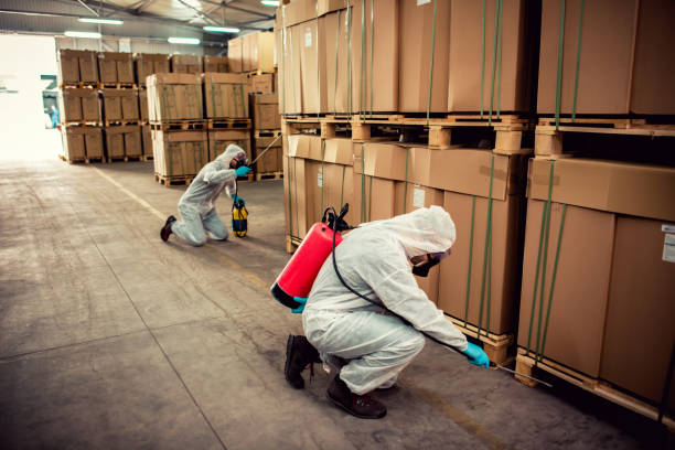 Best Pest Control Near Me  in Columbia, MD