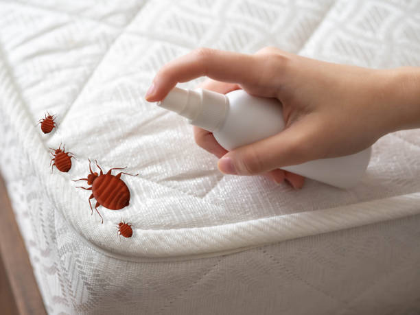 Best Wasp Removal Services  in Columbia, MD